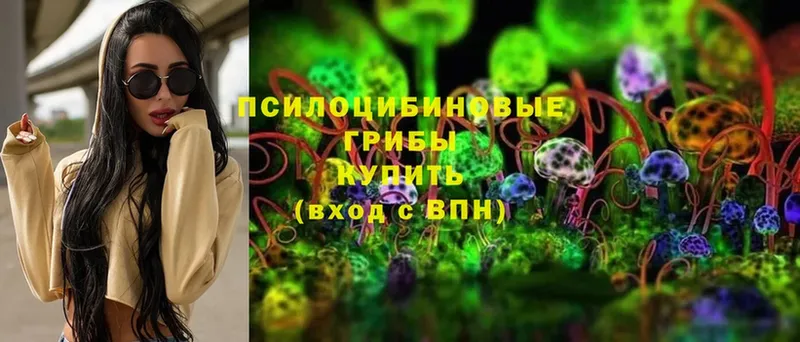 Галлюциногенные грибы MAGIC MUSHROOMS  Лагань 