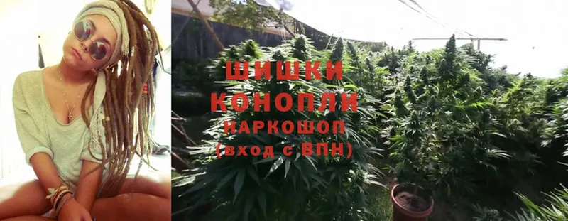 где купить наркотик  МЕГА ТОР  Шишки марихуана SATIVA & INDICA  Лагань 